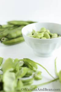 A small bowl of fava beans out of the pods