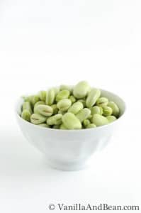 A small bowl of fava beans