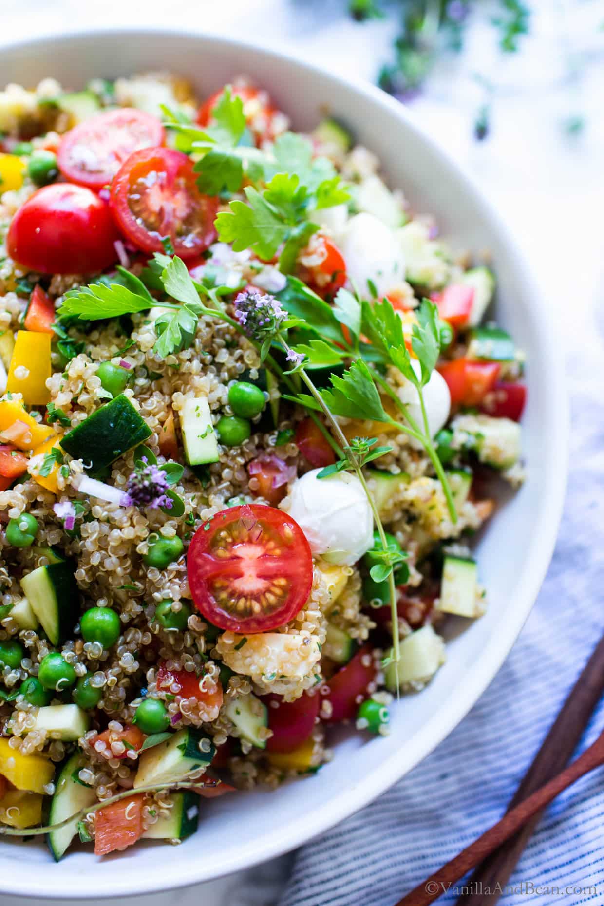 Summer Quinoa Vegetable Salad with Fresh Mozzarella