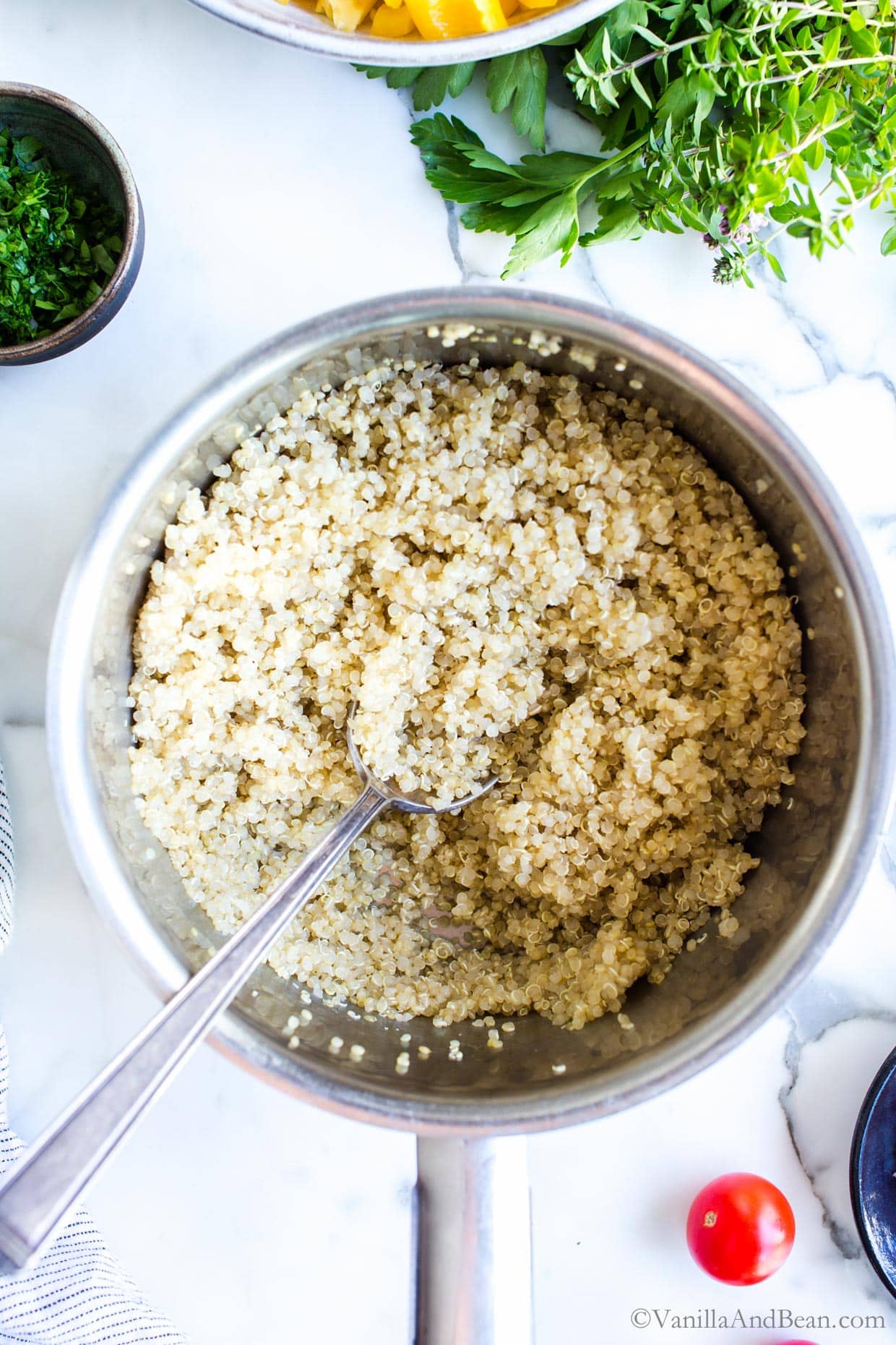 Overhead closeup of quinoa in a pan. 