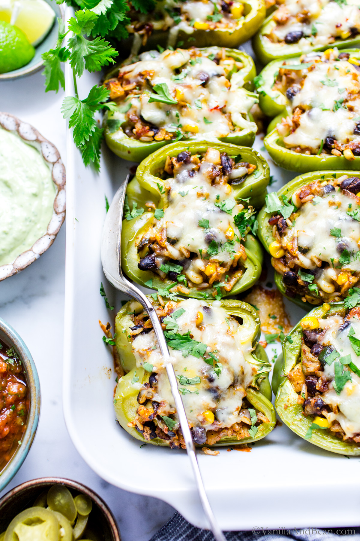 Southwestern Vegetarian Stuffed Bell Peppers with Rice