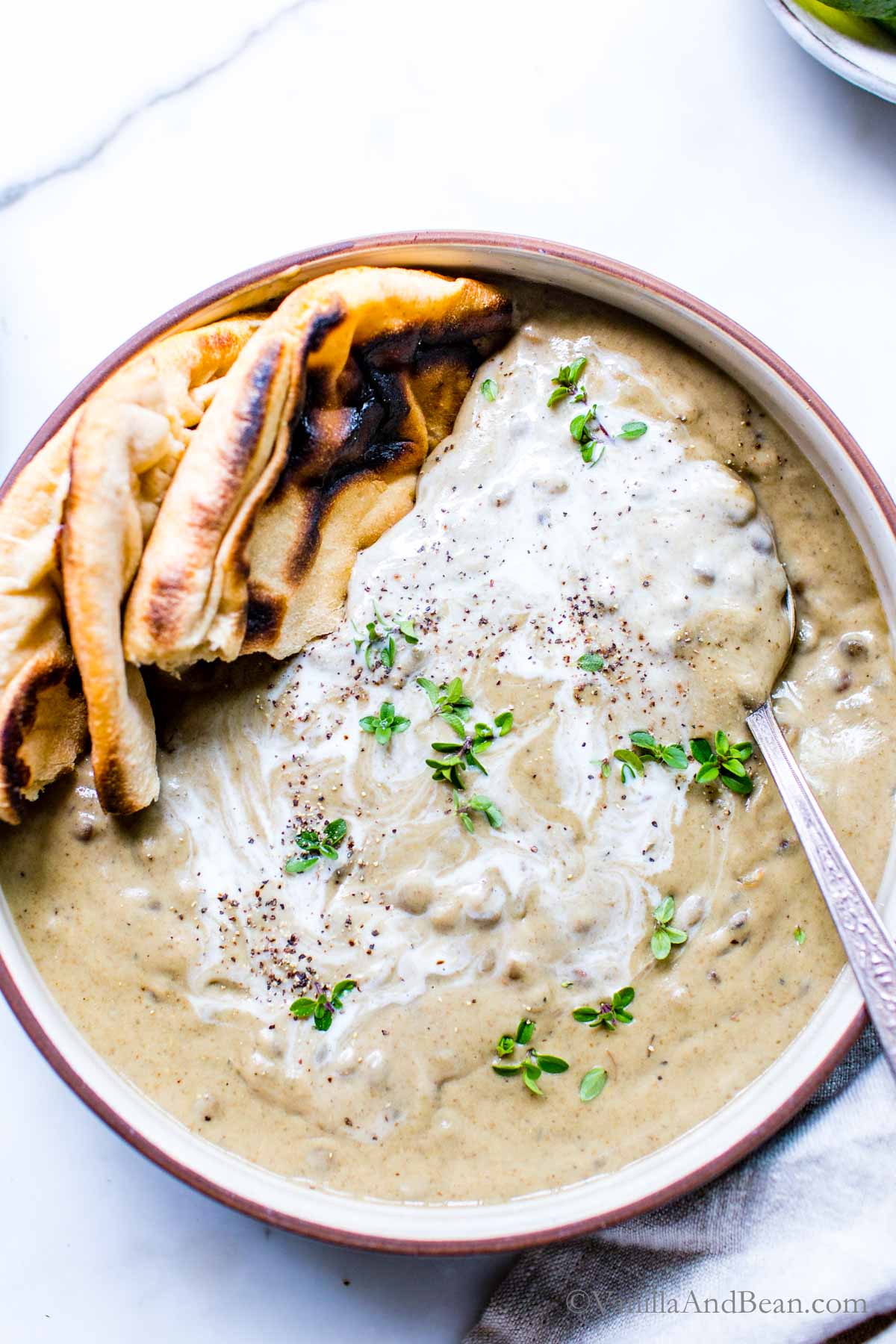 Creamy Coconut Curried French Lentil Soup