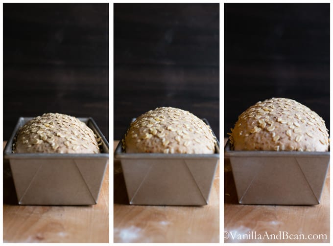 Dough in a loaf pan in different stages of rising.