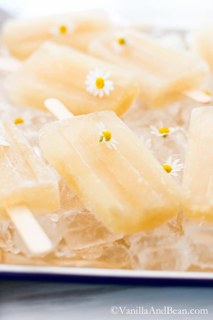 Honey Chamomile Popsicles
