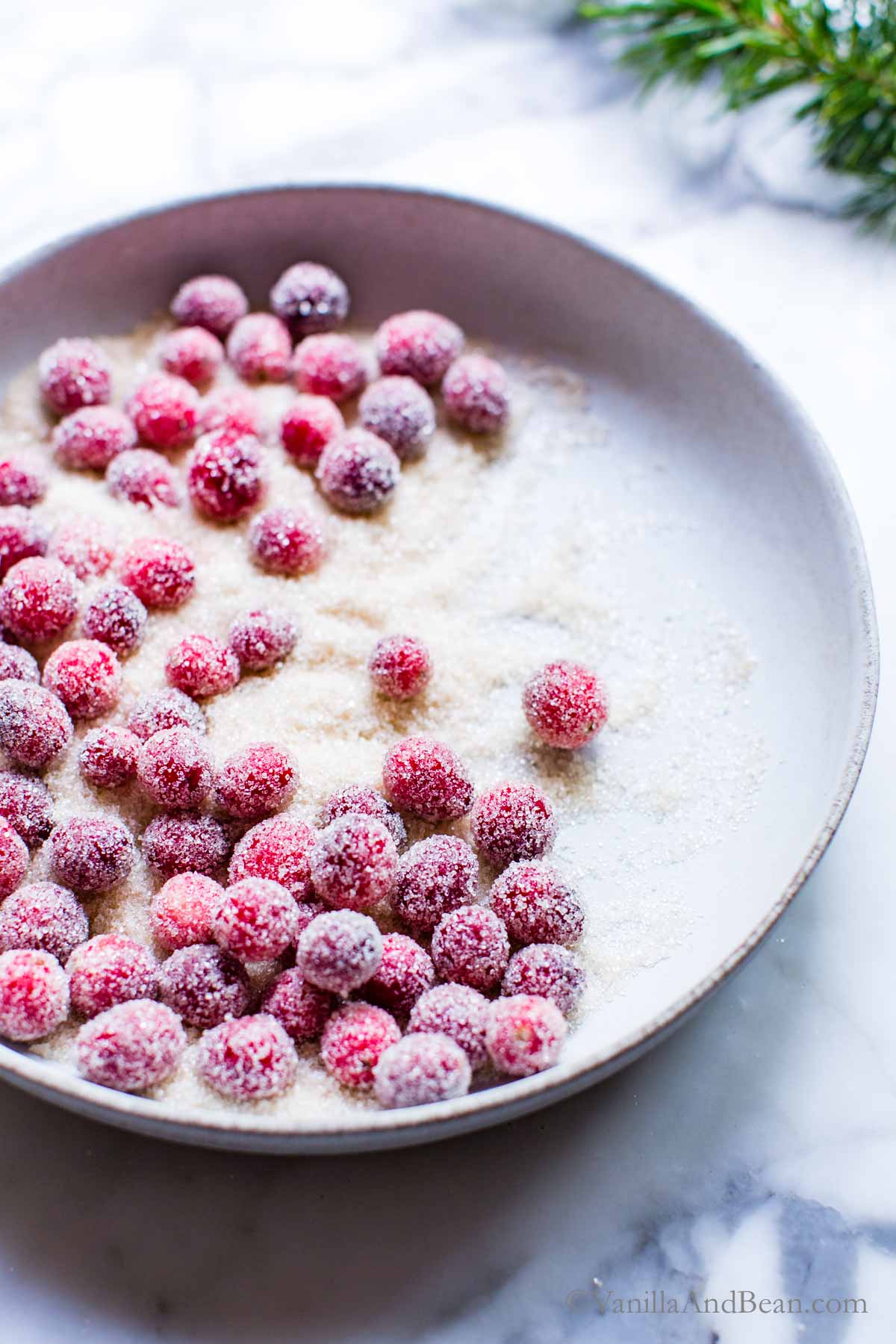 Sugar coated cranberries in a bowl.