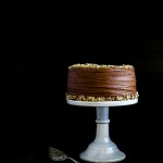 Vegan Chocolate Hazelnut Cake with Whipped Ganache | Vanilla And Bean