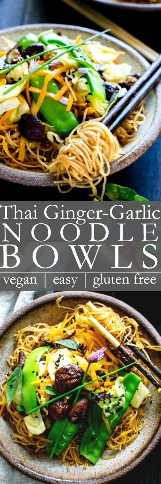 Thai Ginger and Garlic Noodle Bowls is a flavor packed stir fry recipe loaded with veggies swimming in a umami filled sauce. 