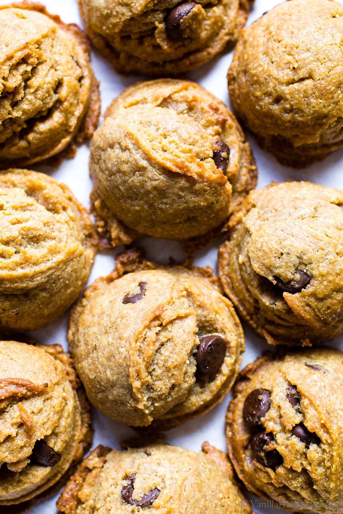 No Flour Peanut Butter Chocolate Chip Cookies