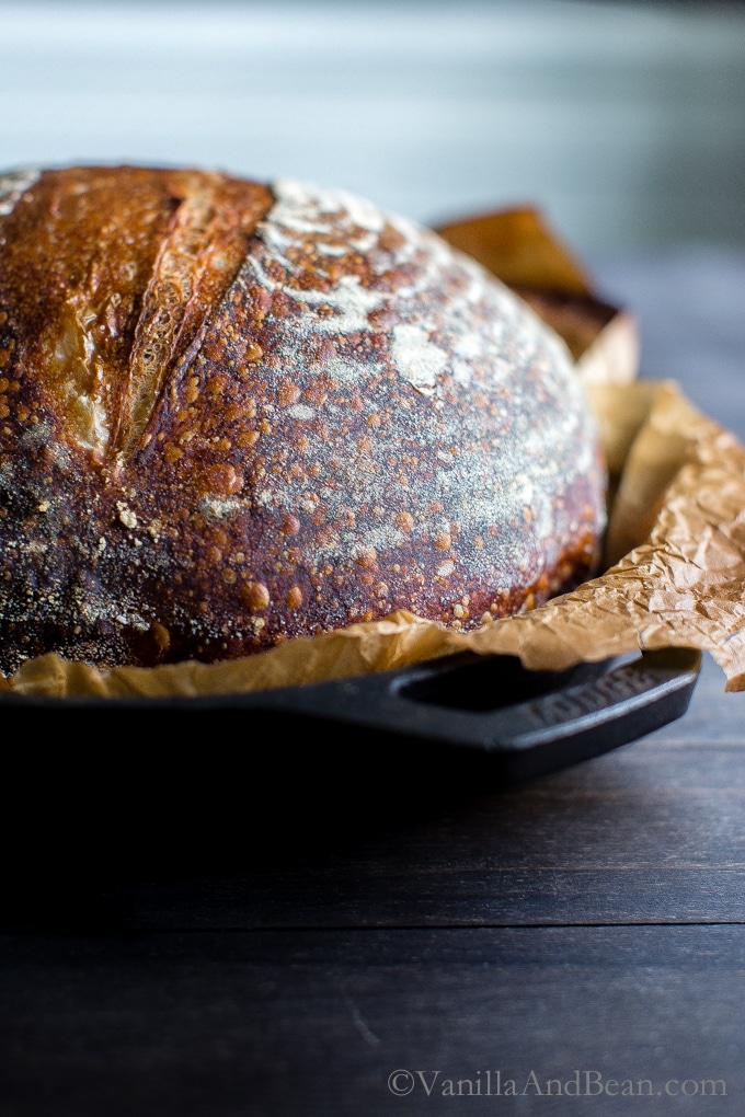 A closeup of baked sourdough bread in a cast iron skillet. 