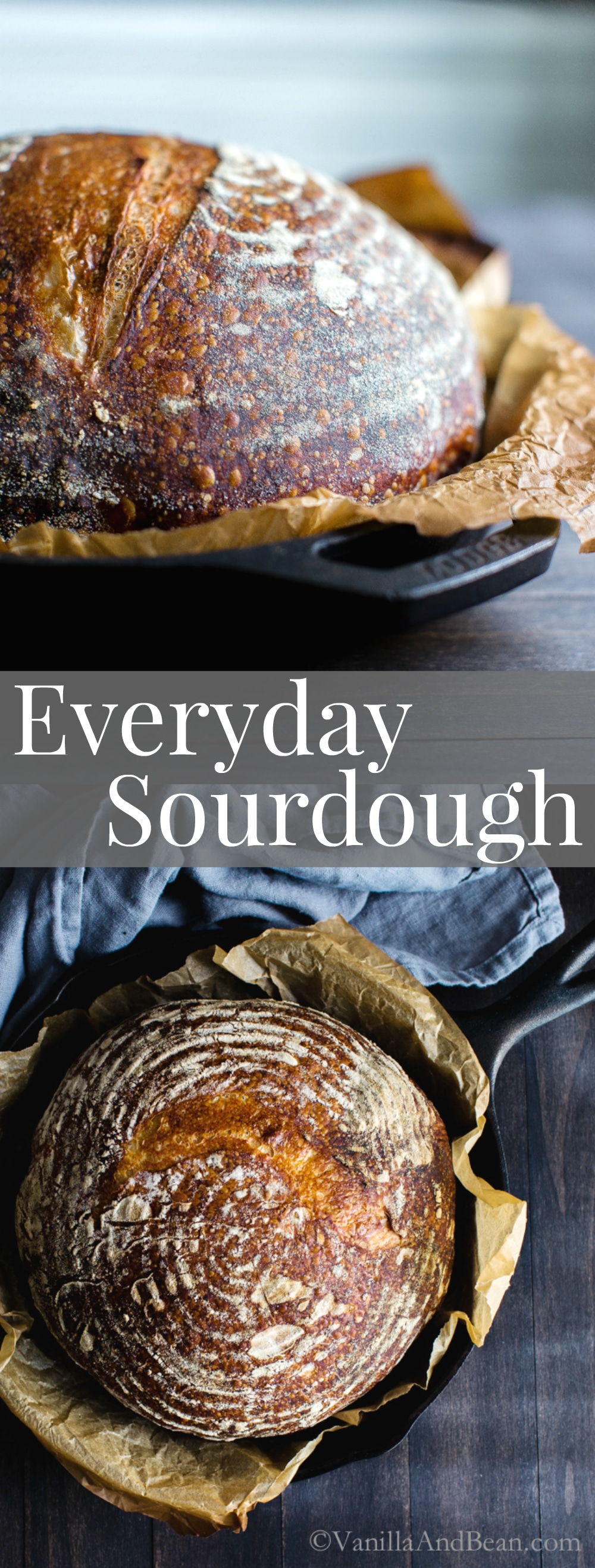 Henry's Sourdough Bread-Making Process: A Straightforward Guide - Baking  Great Bread at Home Blog