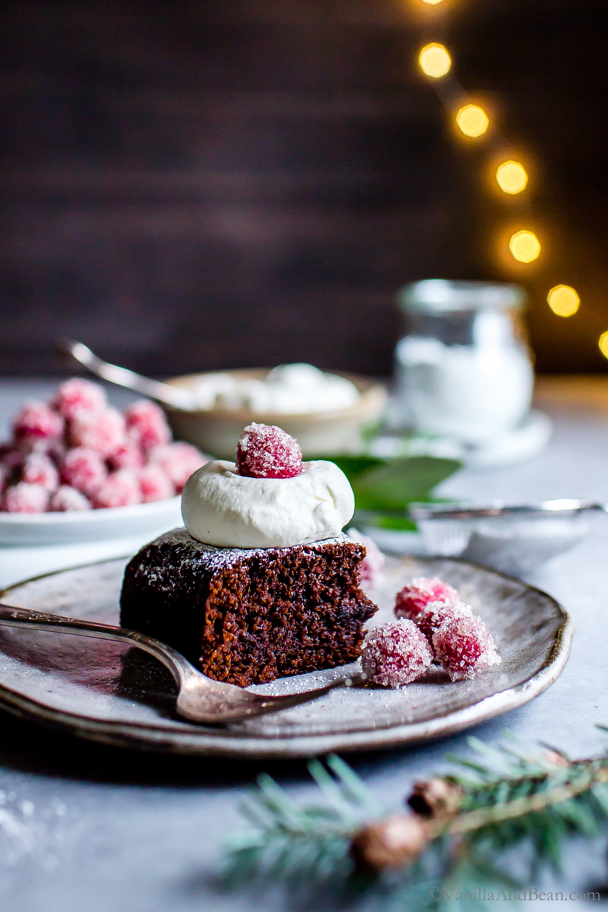Gingerbread Snack Cake with Ginger Beer on a plate with a dollop of whipped cream and sugared cranberries. 