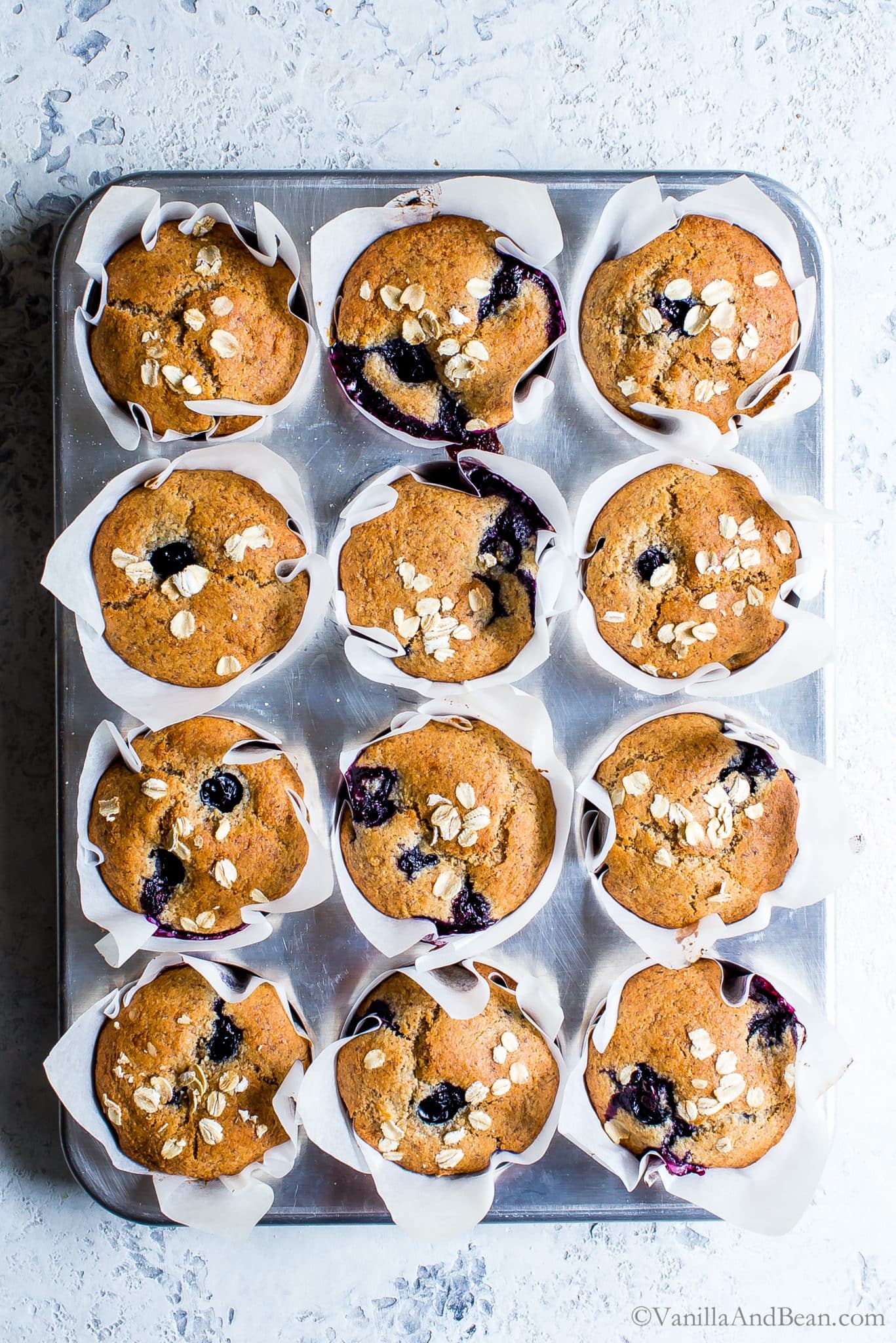 Overhead shot of baked gluten free vegan blueberry muffins. 