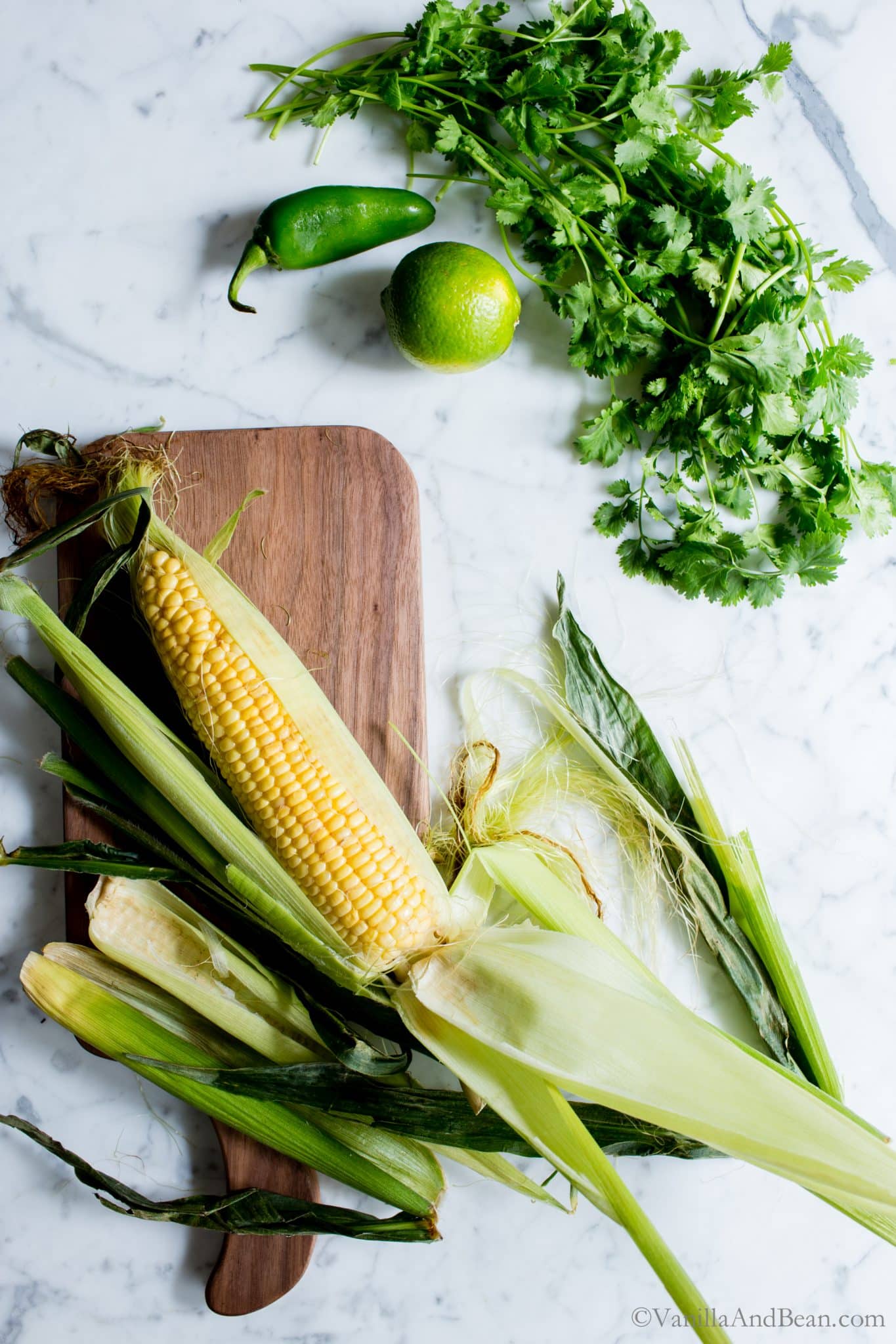 Fresh corn on a cutting board with cilantro and lime. 