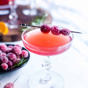 Gin and Cranberry juice cocktail garnished with sugared cranberries ready for sharing.