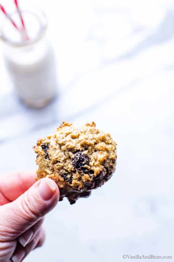 Hand holding up a healthy vegan oatmeal raisin cookie.