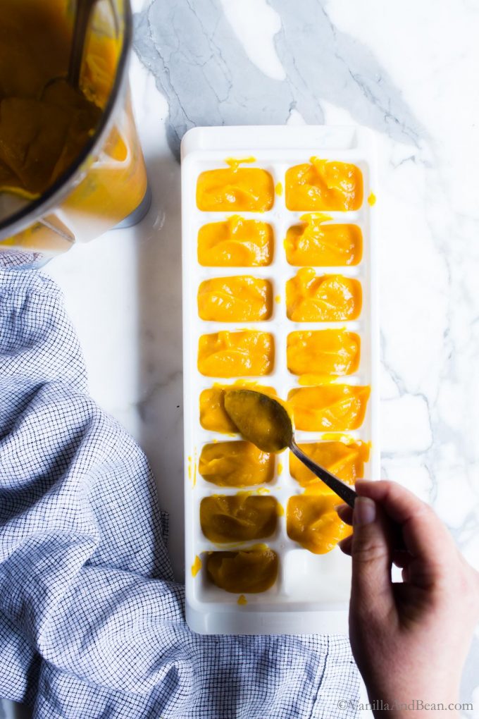 Pumpkin puree being spooned into an ice tray to be frozen for long term storage. 