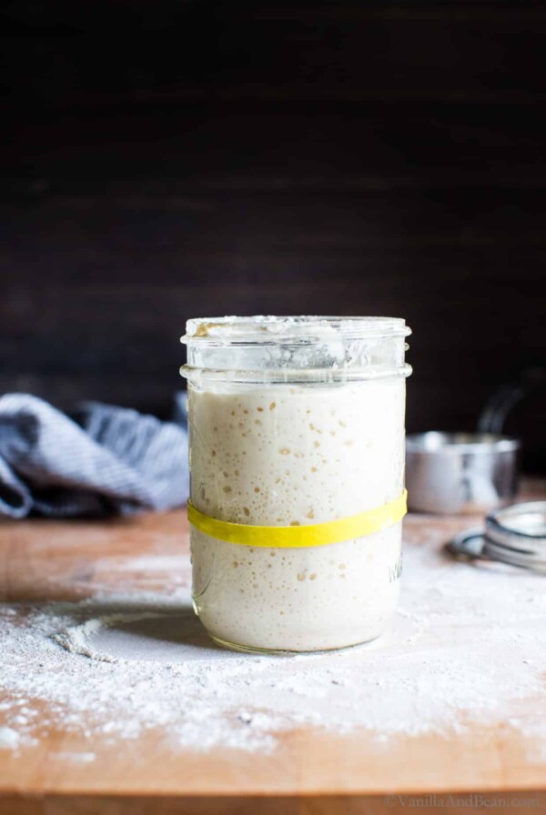From scratch mature sourdough starter in a jar after doubling in size.