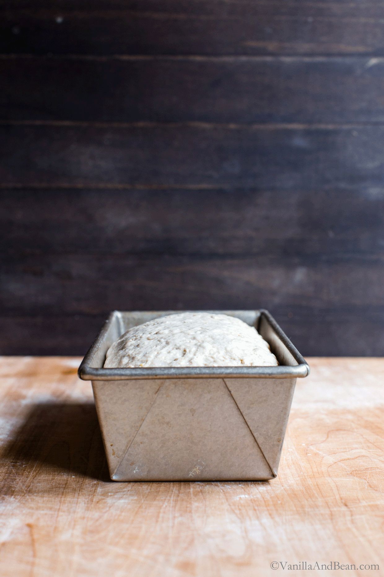 GIF of sourdough bread in loaf pan rising.