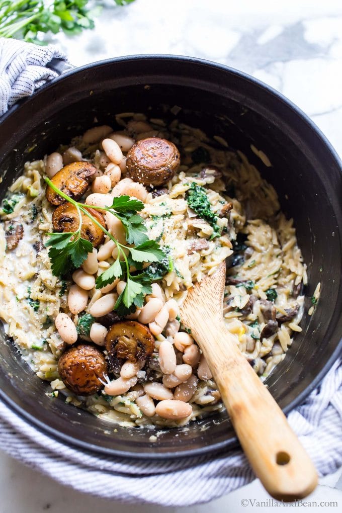Best Orzo Recipe in a Dutch Oven with mushrooms and kale.