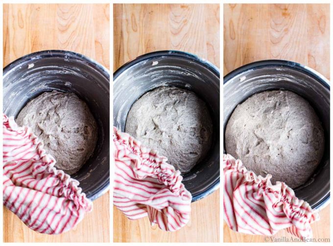 Three images of dough in a bowl rising. A tea towel rests on the side of the bowl. 