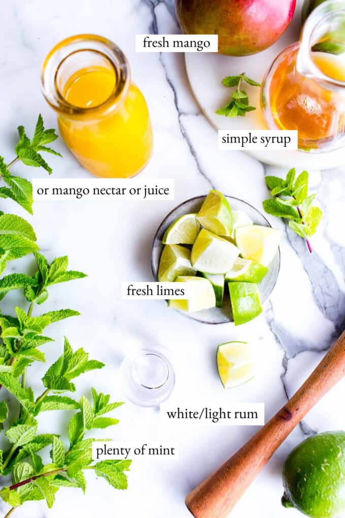 Ingredients labeled for recipe for mojito mango.