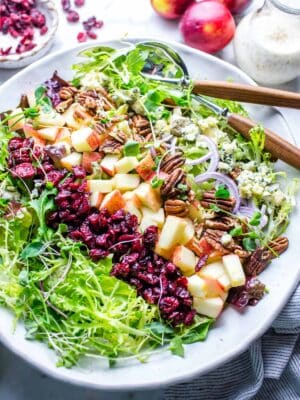 Apple salad with cranberries in a bowl ready for sharing.