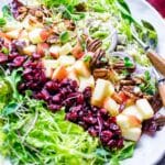 Apple cranberry walnut or pecan salad in a bowl ready for sharing.