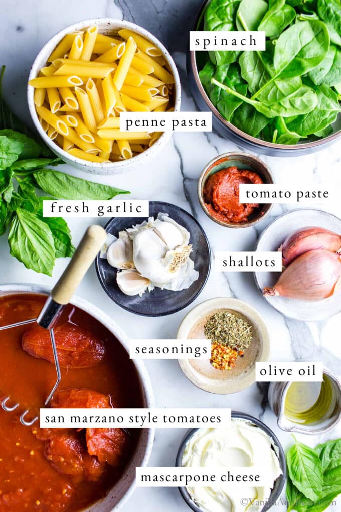 Creamy One Pot Pasta with Mascarpone and Tomato Sauce Ingredients. 