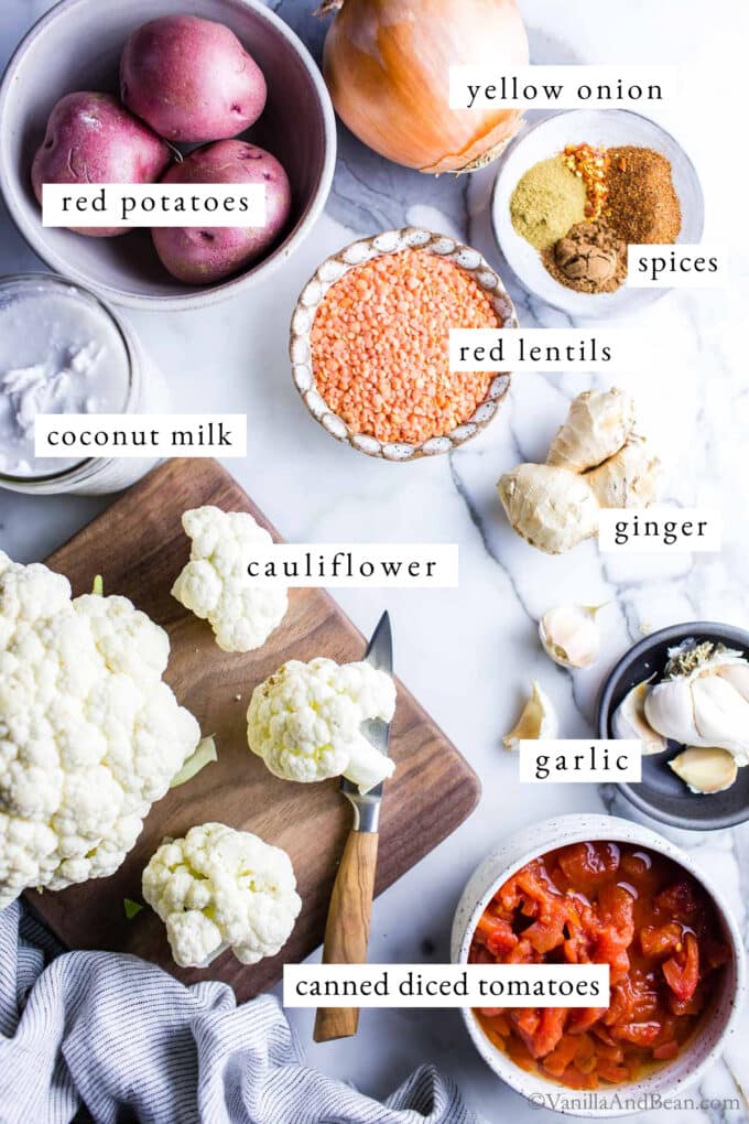 Ingredients for Crock Pot Veggie Curry. 