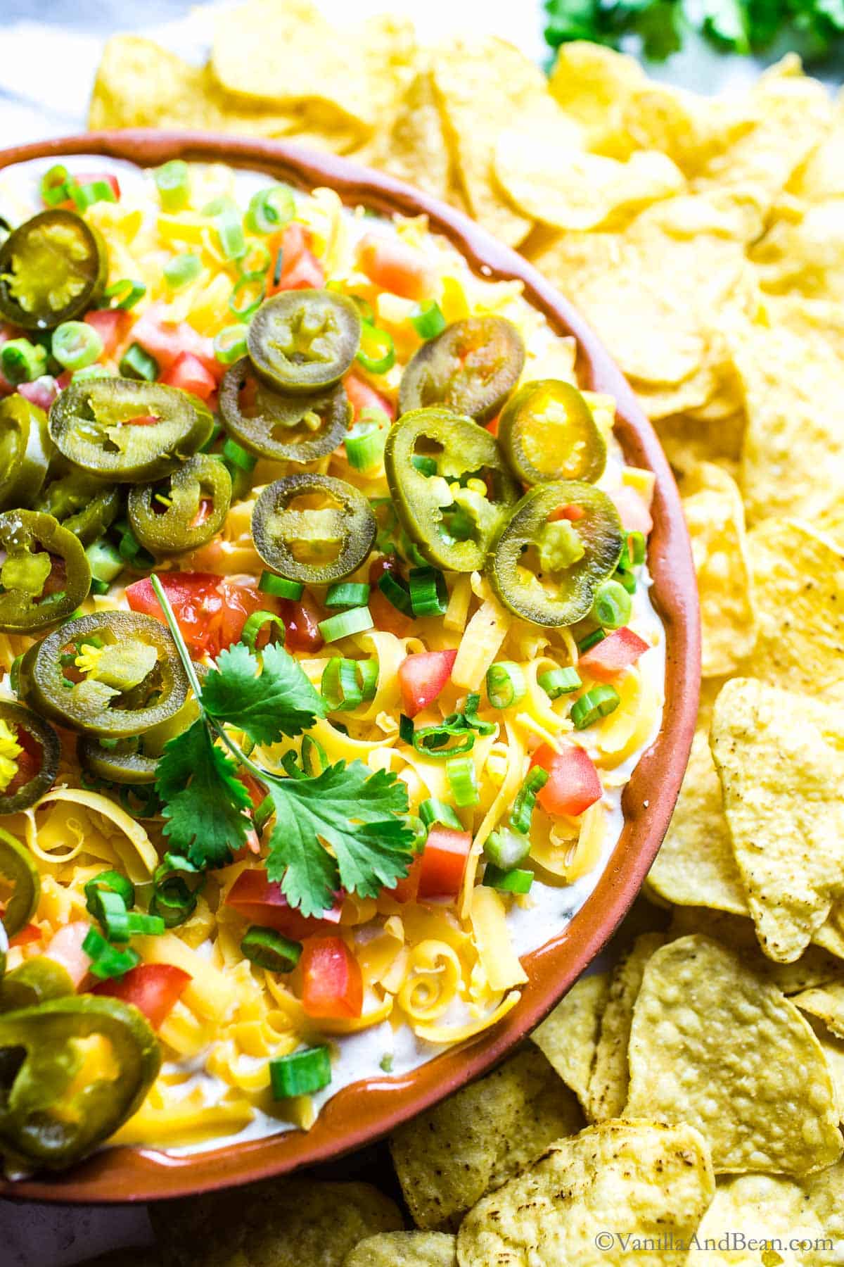 5 layer bean dip n a plate garnished with jalapenos and cilantro, surrounded by tortilla chips.