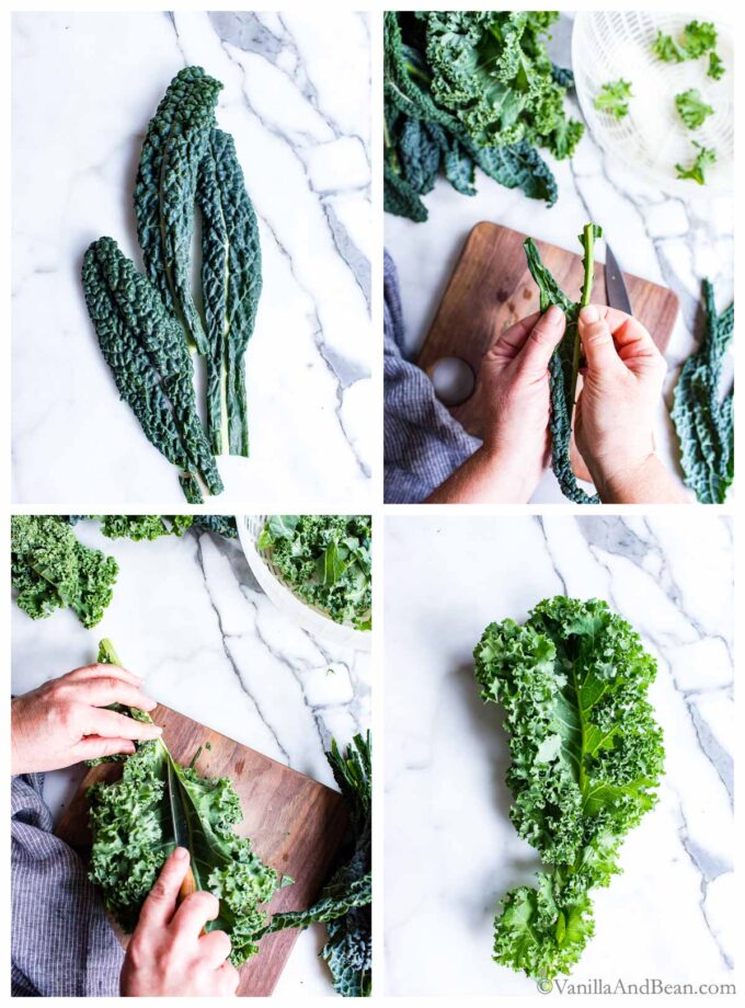 Images of Lacinato Kale and curly kale, removing the rib and stem.