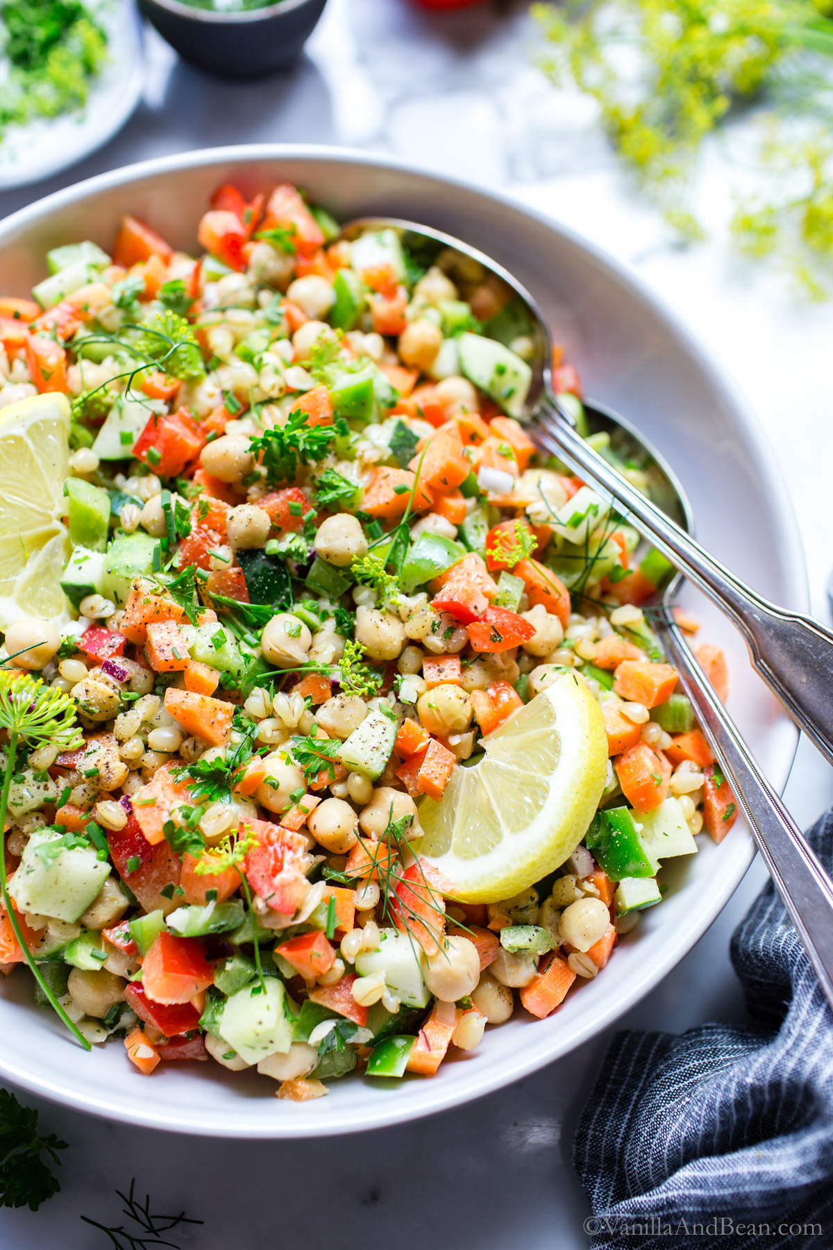 Crunchy Garbanzo Summer Salad with Creamy Dill Dressing