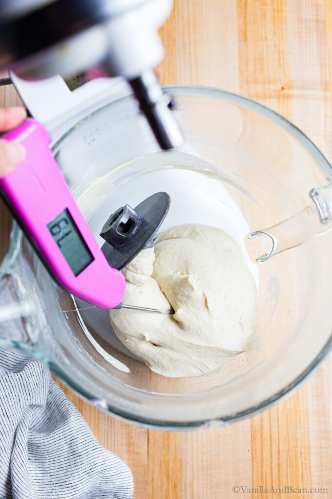 Sourdough discard pizza dough in the bowl of a stand mixer with a thermometer in the bowl taking the temperature of the dough.