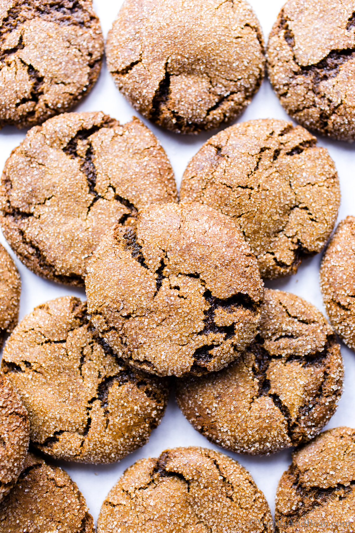 Fresh Ginger Molasses Cookies (soft & chewy!)