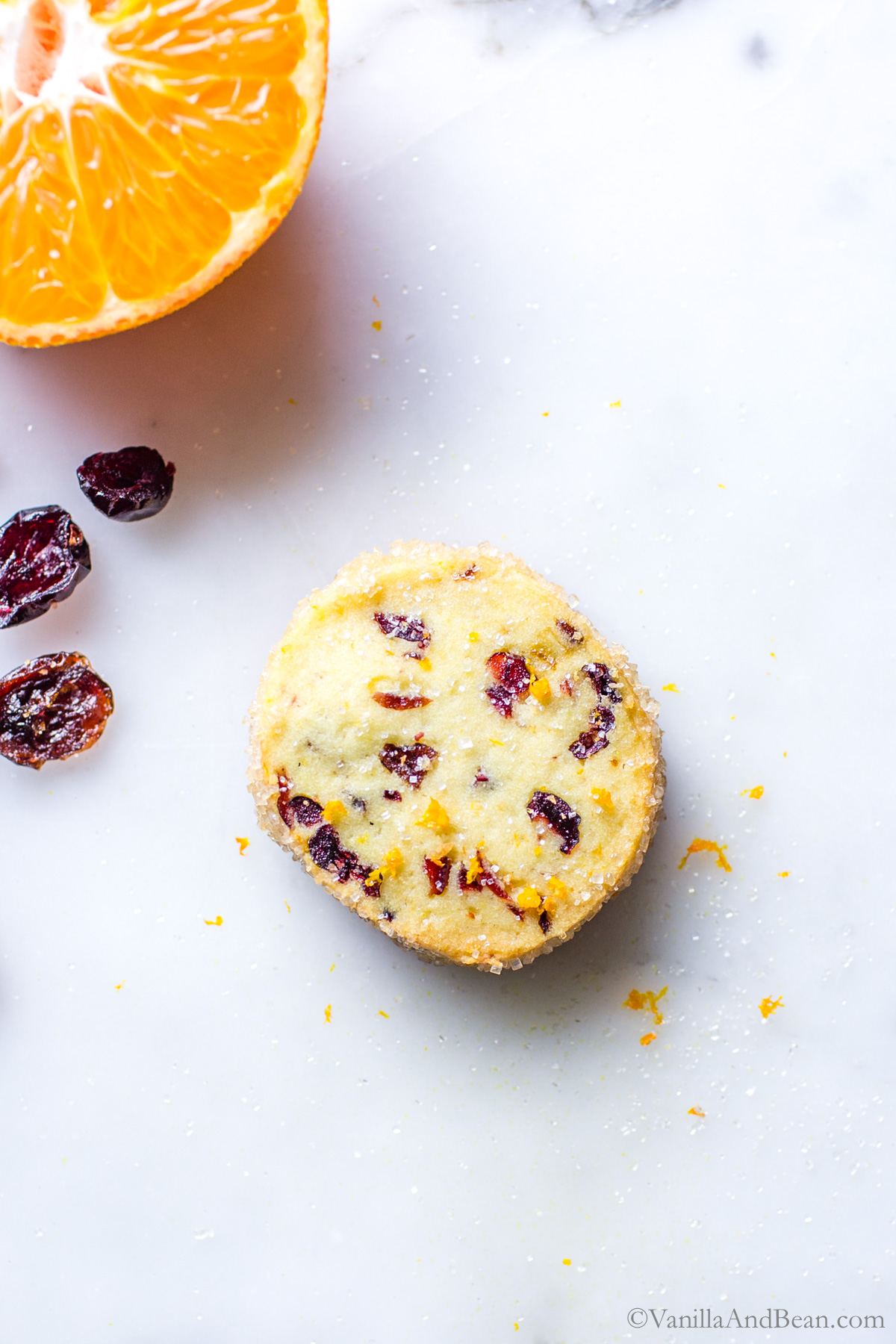Buttery Cranberry Orange Shortbread Cookies (slice and bake)