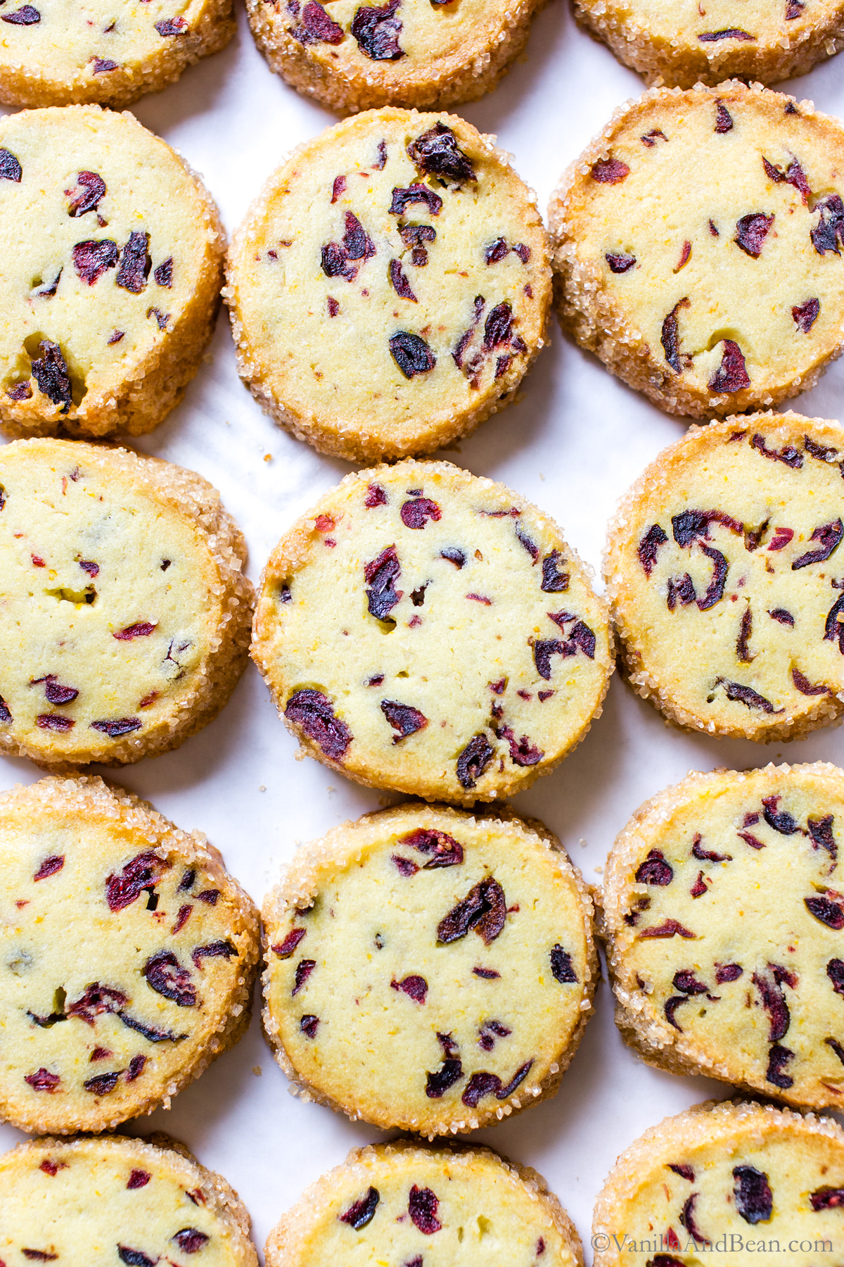 Cranberry Orange Shortbread Cookies (Slice and Bake)