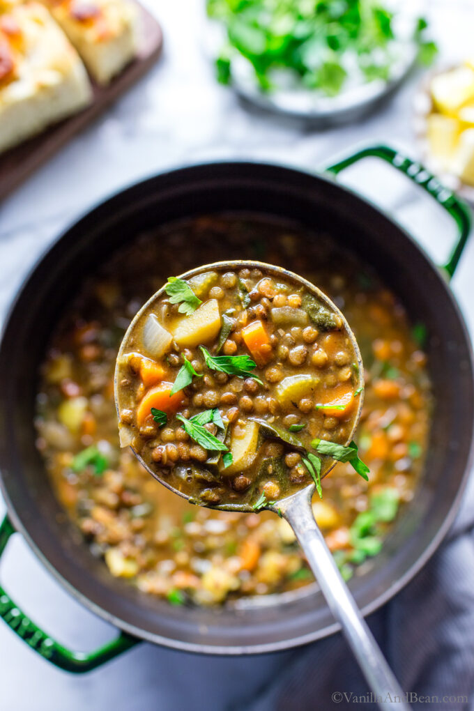 A ladle full of french lentil soup with potatoes.