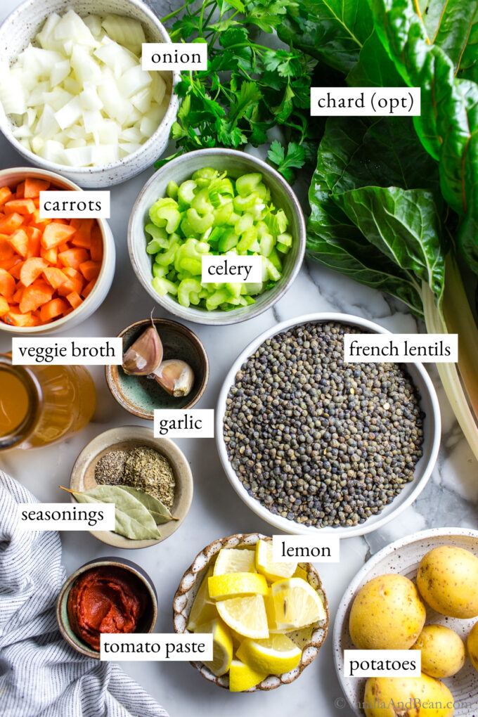 Ingredients for French Green Lentil Soup