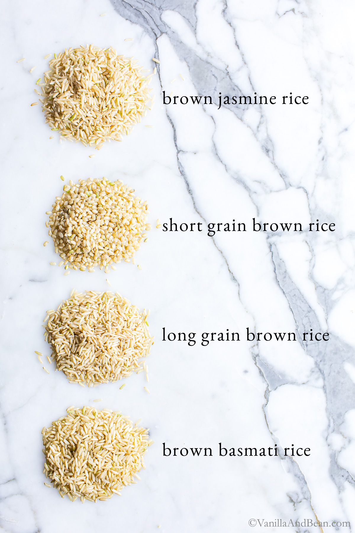 Four types of brown rice setting in piles on a marble table each labled: brown jasmine rice, short grain brown rice, long grain brown rice, basmati brown rice.