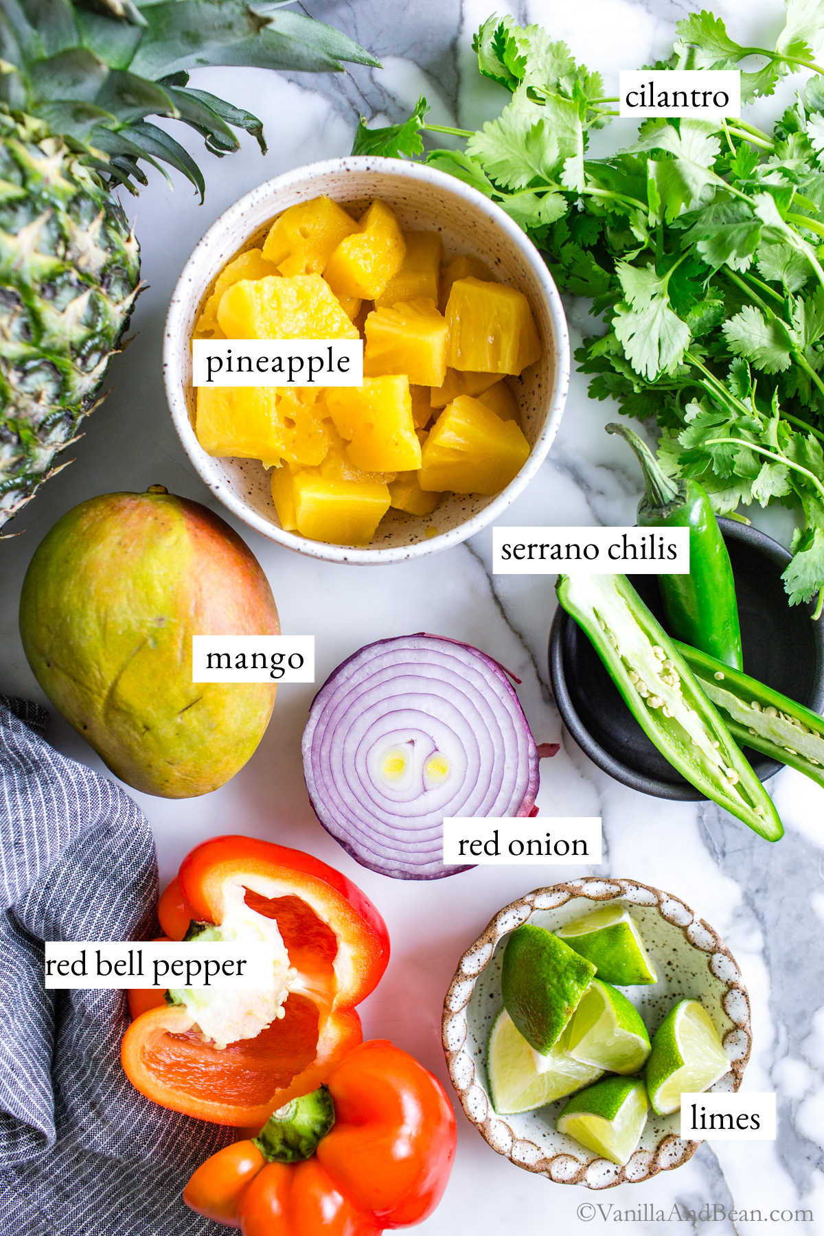 Mango Pineapple Salsa recipe ingredients.